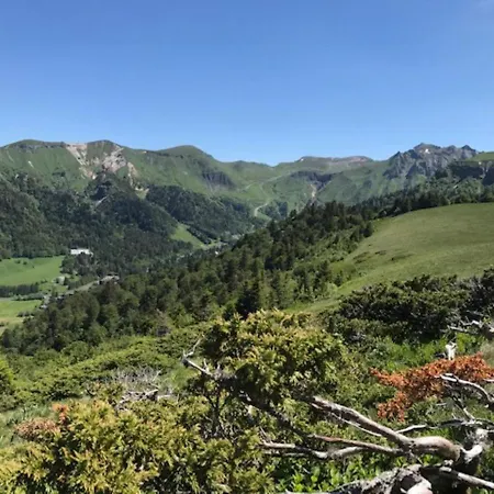 Mont-dore: Agreable T2 Avec Wifi Et Box Tv - Fr-1-608-90 * Le Mont-Dore